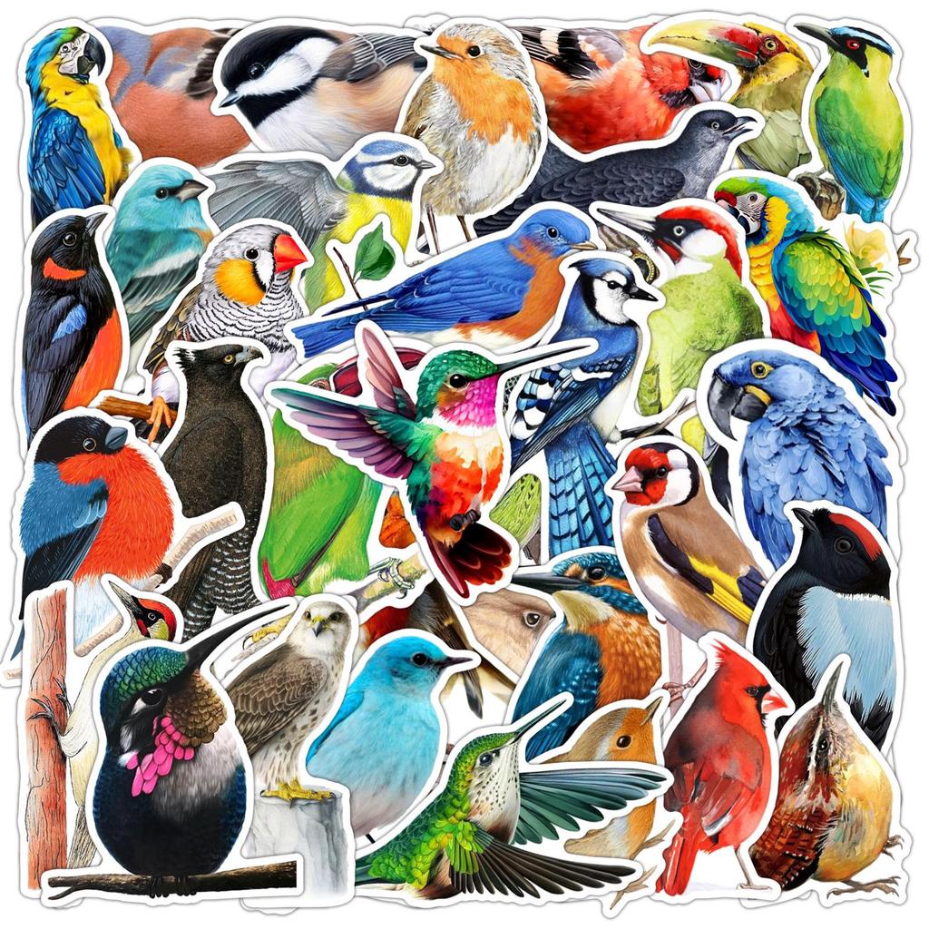 50 Colorful Bird Graffiti Stickers for Phone Cases, Guitars, Tablets, Laptops – Waterproof PVC