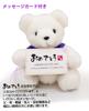 Kouki Bear [WhiteMessage Card Included] Memorial Bear Wearing a Purple Chanchanko [Perfect As a Presentgiftgift] 70th Year Celebration Birthday Kouki