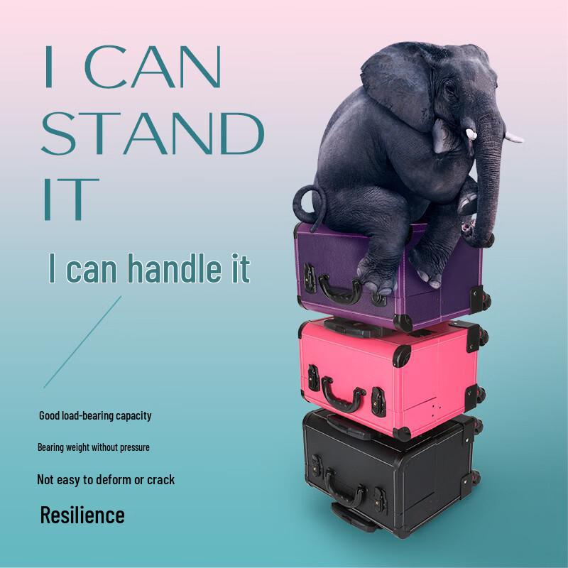 Professional Rolling Beauty & Cosmetic Case