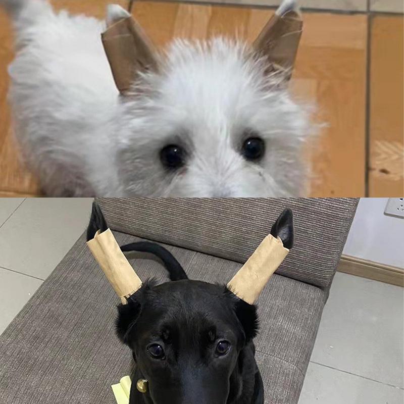 

Наклейки для ушей для собак, корректирующие положение ушей у питомцев, принадлежности для собак, эректор для ушей, инструменты для ухода за ушами, удобные, эффективные, безопасные