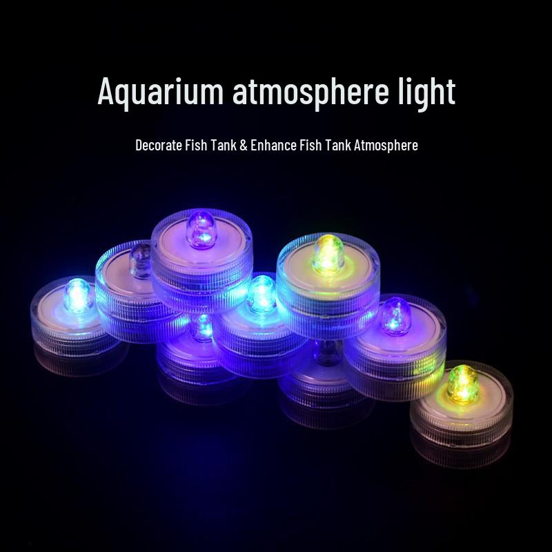 

Transparent Acrylic Betta Fish Tank: Creative Desktop Jellyfish and Goldfish Display Box