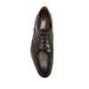 Ferragamo Balmoral Brown