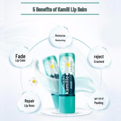 Lippenstifte – Lippenbalsame