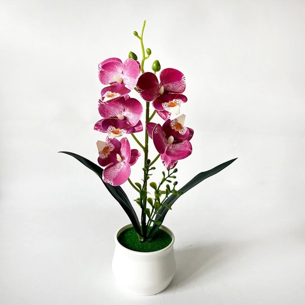 5 Heads Artificial Orchid Potted Flower Pink with White Pot Simulated Flower Butterfly Orchid Potted Plastic Multi-Bloom