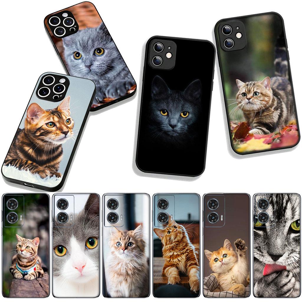 Blue Cat Green Eyes Meow Phone Cover for Samsung Galaxy A36 A17 A26 A07 A35 A54 A53 A13 A33 A34 S8 S9 S20 S21 FE S10 Plus Case