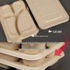 ZISIZ Disposable Lunch Box for Primary Students