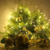 LED Copper Wire Fairy Lights Battery Powered Garland Fairy Lighting Garland DIY Wedding Party Christmas Decoration