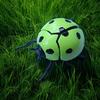 4pcs Wind Up Mechanical Beetle Toys Relax Prank Props In Orange, Red, Green, Blue Plastic Simulation Insect Models for Fun and Novelty