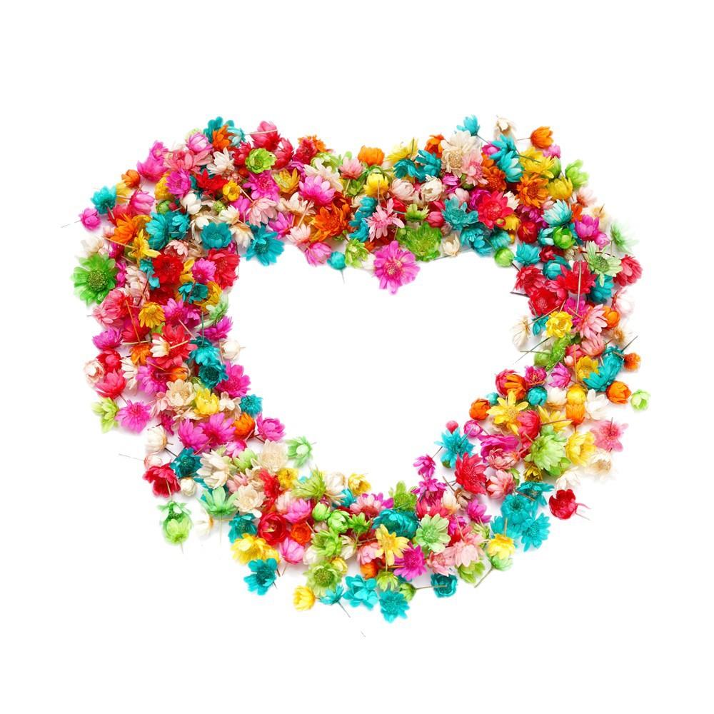 5mm~ 8mm Bags of Dried Flowers, Natural Little Star Flower Head, Handmade DIY Group Fan Crystal Epoxy Decorative Dried Flowers