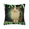 Cat Owl Funny Pillow Case  Graphic Pillow Cover Retro Trendy Cushion Cover For Office Car Home Decor
