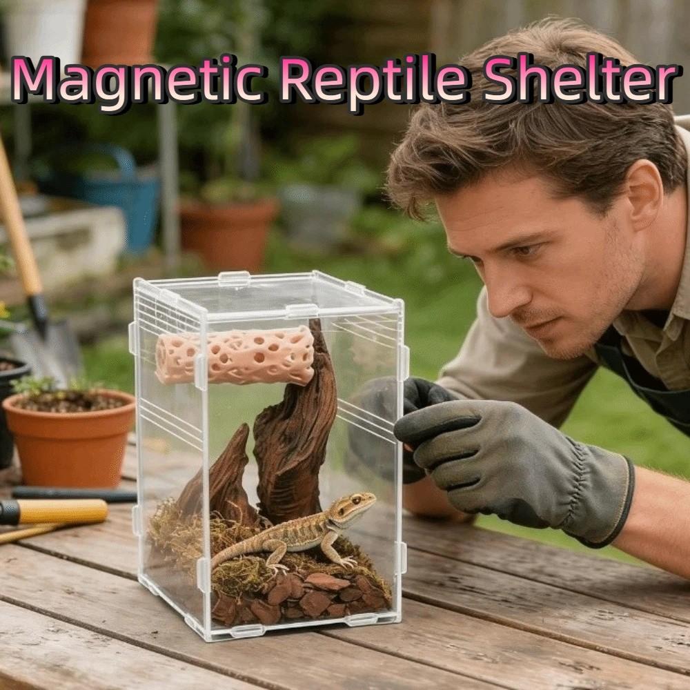 Belüftete Struktur Springspinnen-Habitat Innovatives Amphibiengehege Frosch-Habitat