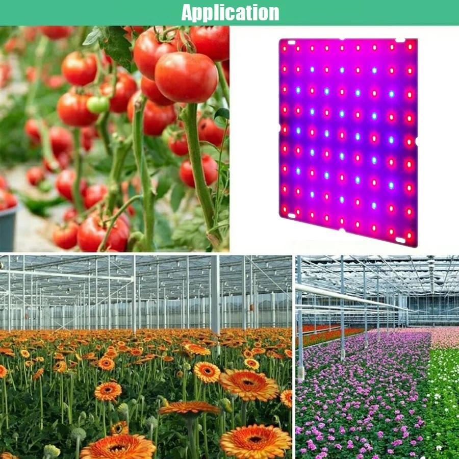 Led Grow Light Full Spectrum Lamp 1000W 1500W Led Plant Light Bulb Greenhouses Indoor Phyto Lamp Grow Lighting US EU UK Plug