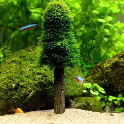Akvariedekoration Simulering Julmossa Julgran Växt Växa Akvarium Tank Landskapsdekor Akvarium Landskapsarkitektur