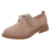 Retro single shoes 2025 spring and autumn women's shoes British style small leather shoes lace-up casual shoes mother shoes non-slip work shoes