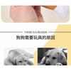 Plush Dual-Bone Chicken Leg Dog Toy With Squeaker Small To Medium Dogs Chew Resistant Dental Care Pet