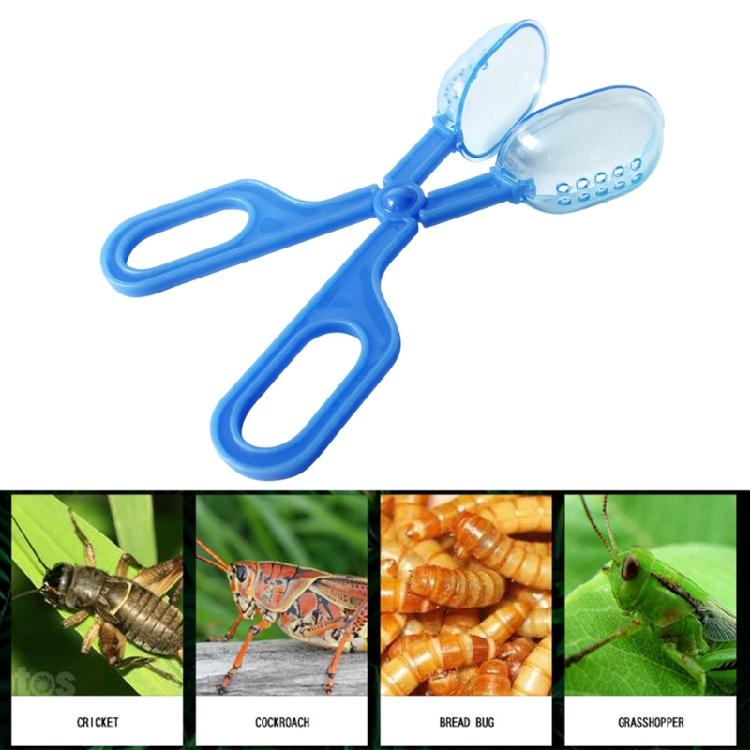 Feeding Tool Cleaning Clamp Clip for Reptile Hedgehog Hamsters Guinea Pig Rat