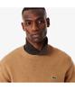 LACOSTE Men'S Wool Crew Neck Sweater Ah2916-55N Tuy