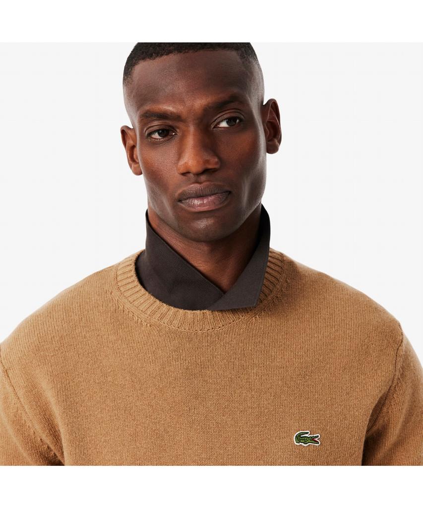 LACOSTE Men'S Wool Crew Neck Sweater Ah2916-55N Tuy