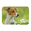 Custom Jack Russell Terrier Pop Art Doormat Anti-Slip Entrance Bath Kitchen Door Floor Mats Dog Lover Room Rug Carpet Footpad
