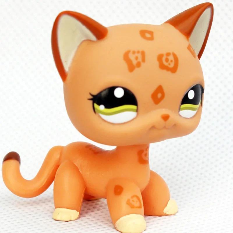 Rare Littlest Pet Shop Lps Toy Toy Mini Stands Short Hair Kitten Old Figures Collection Al Bobble Head Toy