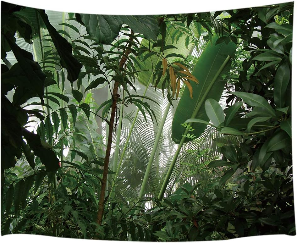 Green Plant Tapestry, Aesthetic Banana Palm Tree Leaves Wall Hanging for Bedroom, Tropical Forest College Dorm Home Decor