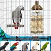 Toys Bird Biting Supplies Wooden Coconut Shell Logs Cross-border Exclusive Supply designed for Large Parrot Bird Toys