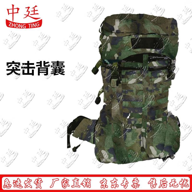 Tactical Camouflage Assault Backpack