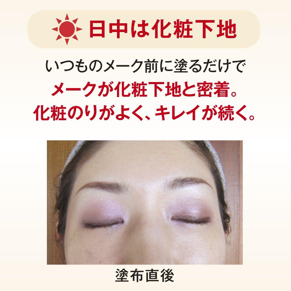 Shiseido Full Makeup Washable Base 35g