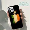 Autumu Ireland Irish Flag Phone Case Cover for iPhone 17 Air 16 16e 15 12 11 13 14 Pro Max Apple Plus Coque