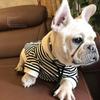 Eltern-Kind-Baumwollstreifen Französische Bulldogge Hunde-Hoodie Haustierkleidung Kleiner Hund Haustierkleidung Chihuahua-Kostüm Mopskleidung Yorkshir