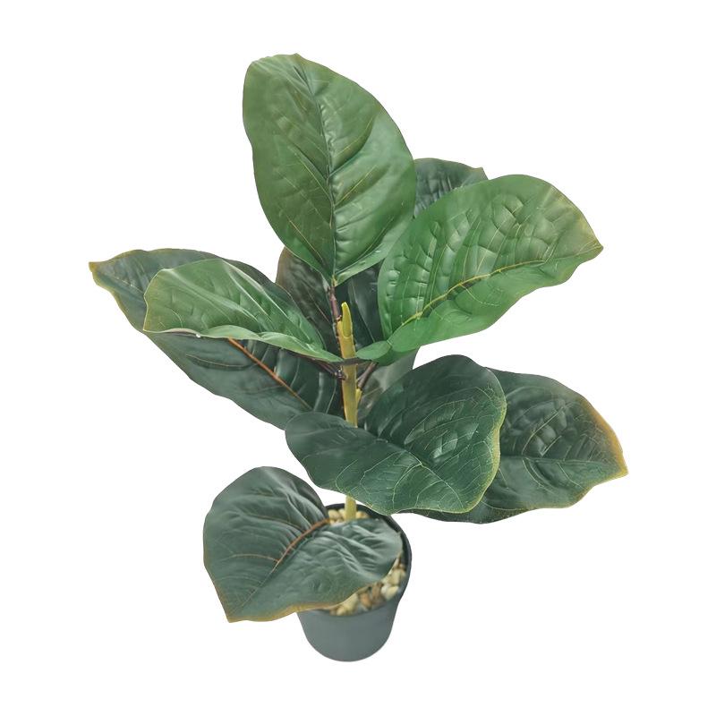 Desktop Rubber Tree & Aspidistra Potted Plant - Bionic Green Landscape Ornament