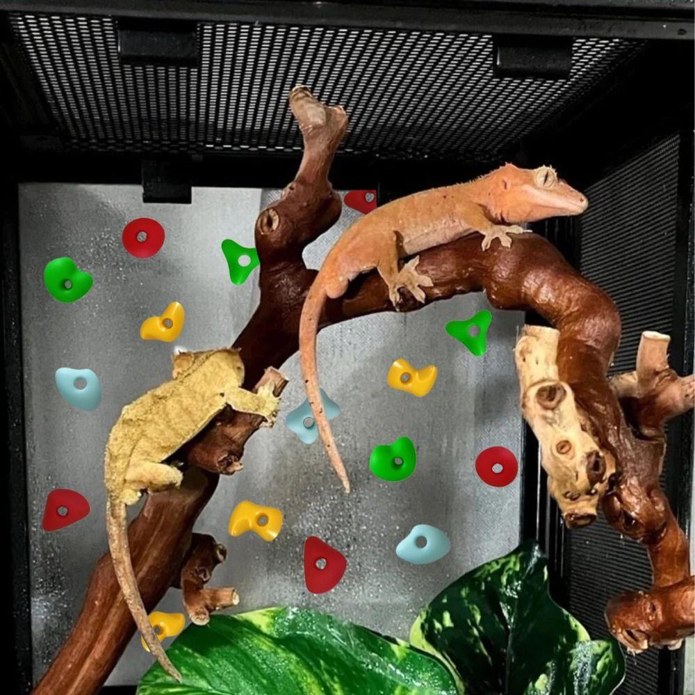 10pcs Multi-Color Reptiles Climbing Holds Random Enrichment Toy NEW Climbing Toys Bearded Dragons