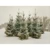 Minimal Landscape Vintage Winter Posters Tree Sketch Farmhouse Modern Prints Canvas Painting Wall Picture Home Living Room Decor