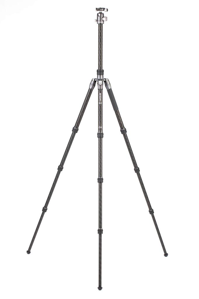 BENRO Rhino Carbon Fiber Travel Tripod with Pan Head, Lightweight and Foldable (FRHN24C + VX25 2-Type, 4-Section)