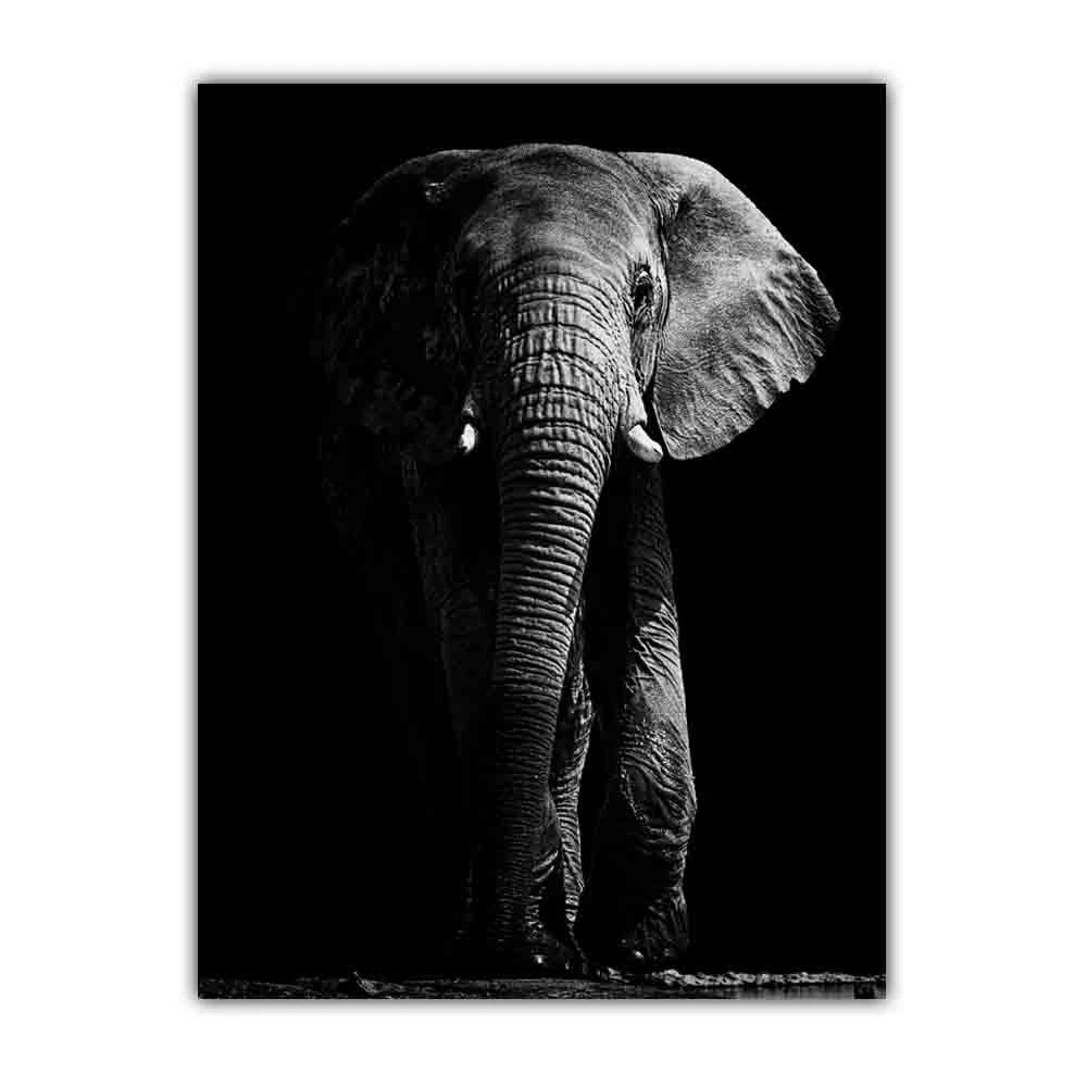 Animal Elephant Black and White Print Art Canvas Poster For Living Room Decoration Home Wall Picture