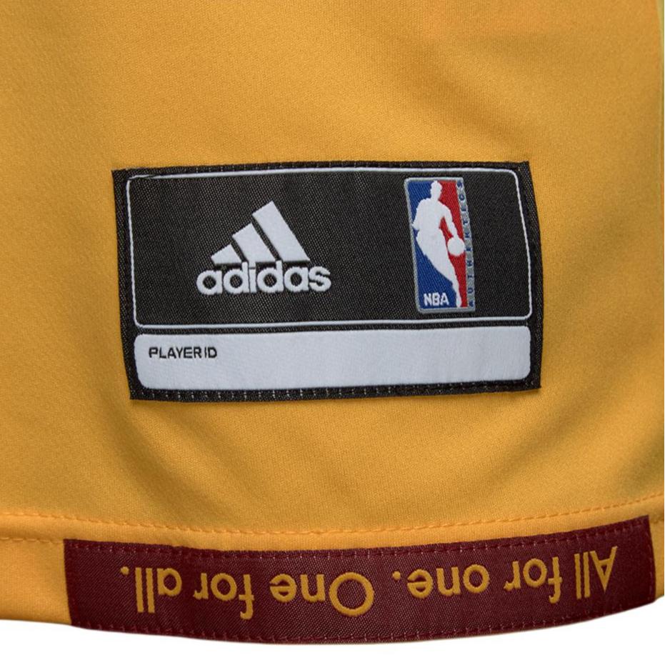 Adidas X NBA Collaboration Cleveland Cavaliers Int Replica Jrs LeBron James Round Neck Fashion Soft Comfortable Sleeveless Basketball Jersey A61198