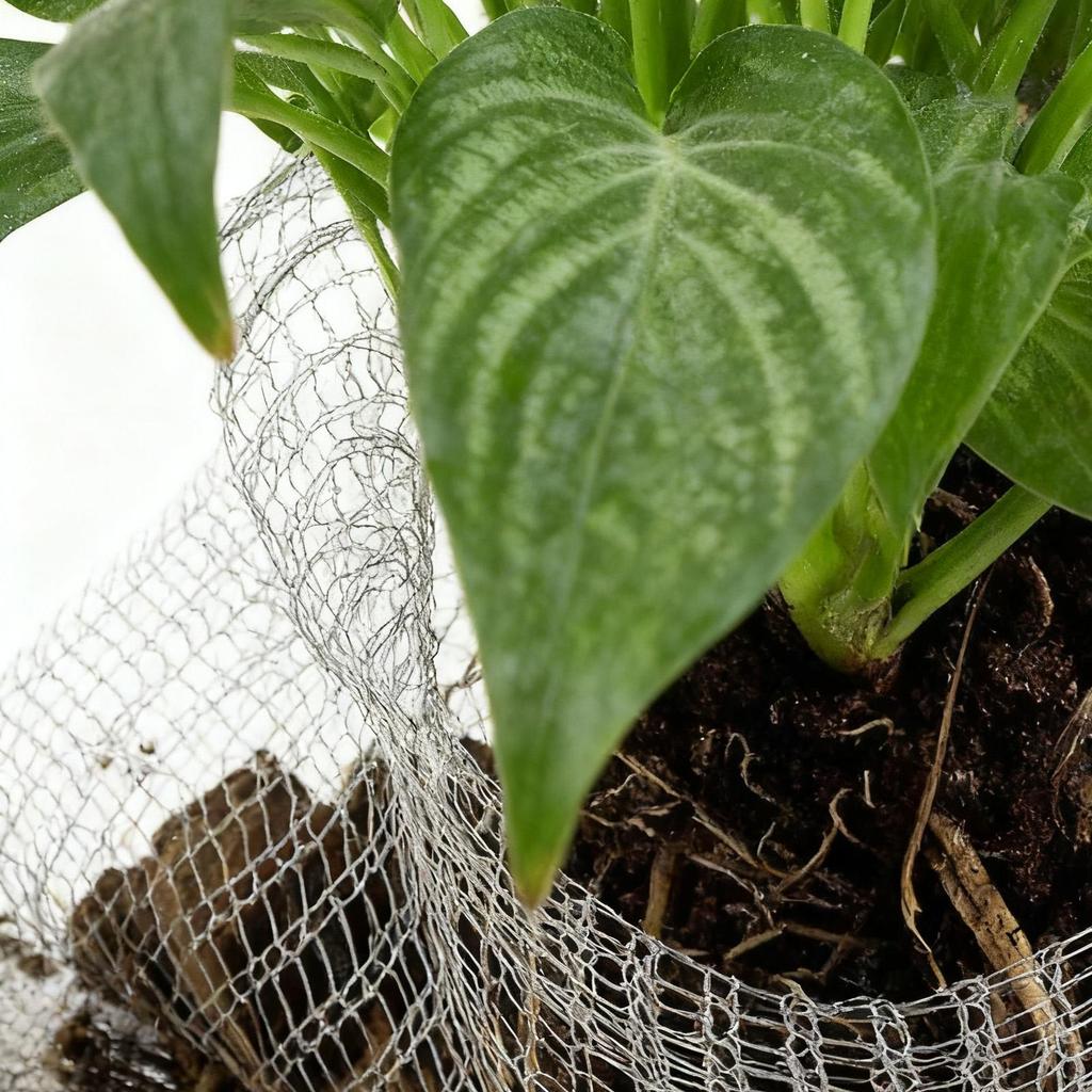 15Pcs Stainless Steel Metal Plant Mesh Bag Wire Knitted Plant Protection Plant Root Pouches Basket Rodent-proof PestControl Bag