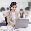 Sanwa Supply Bluetooth Stereo Headset (with Cradle and Dual Microphone) MM-BTSH70BK