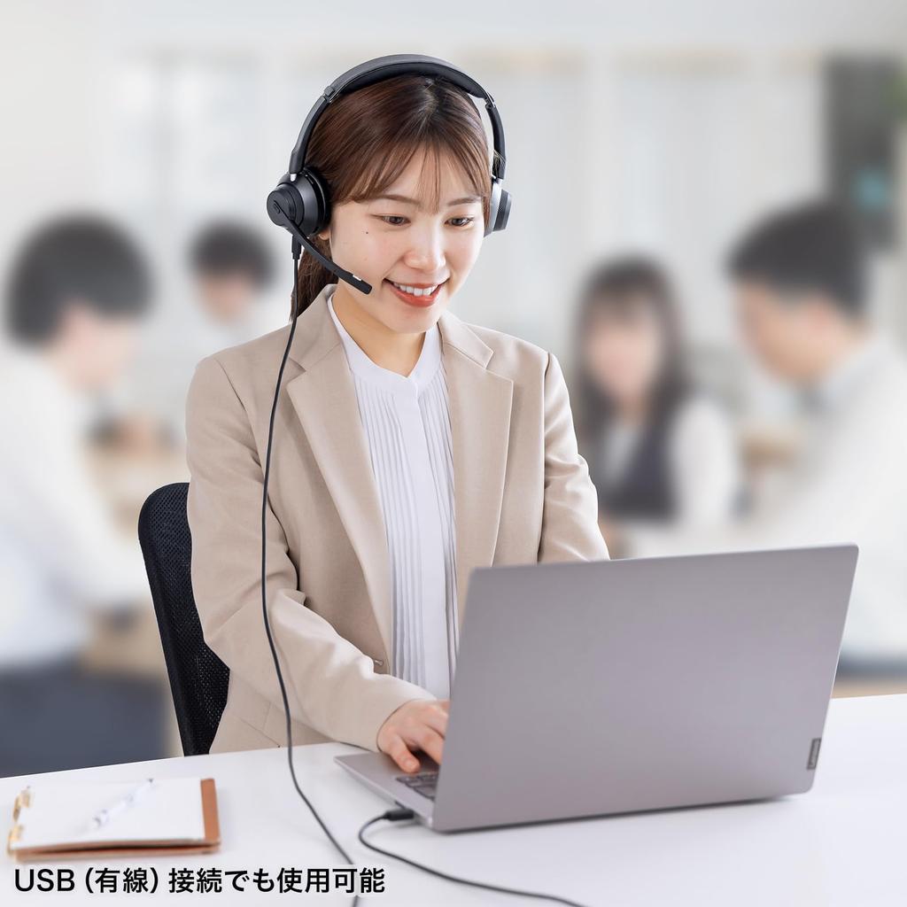 Sanwa Supply Bluetooth Stereo Headset (with Cradle and Dual Microphone) MM-BTSH70BK