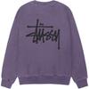 Stussy Basic Crew Pigment Dyed 1915001