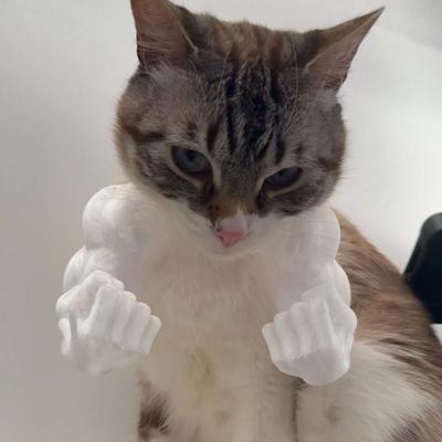 Kedi Kaslı Kol Kostümü 3D Baskılı Kedi Boyun Kol Kaslı Komik Kedi Boyun Askılı Dekorasyon Cadılar Bayramı Doğum Günü Partisi Malzemeleri