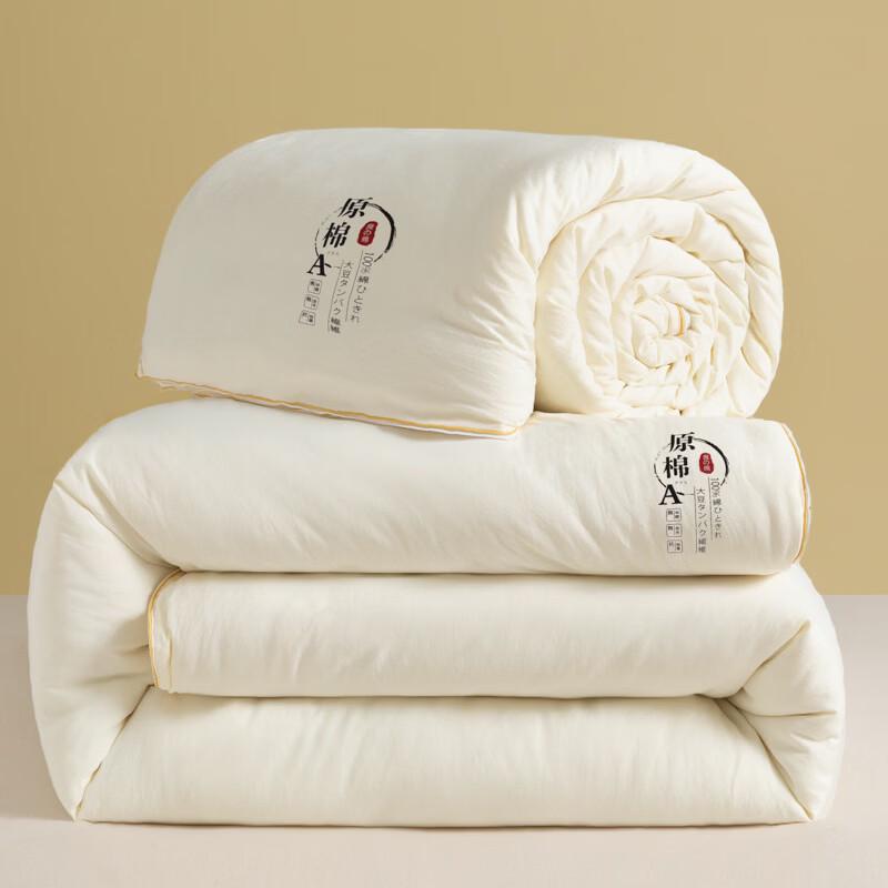Brangdy All-Season Detachable Thick Warm Duvet