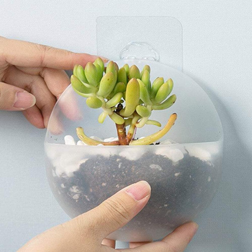 Vases Decorative Pots Plastic Half Round Mini Wall Plant Hanging