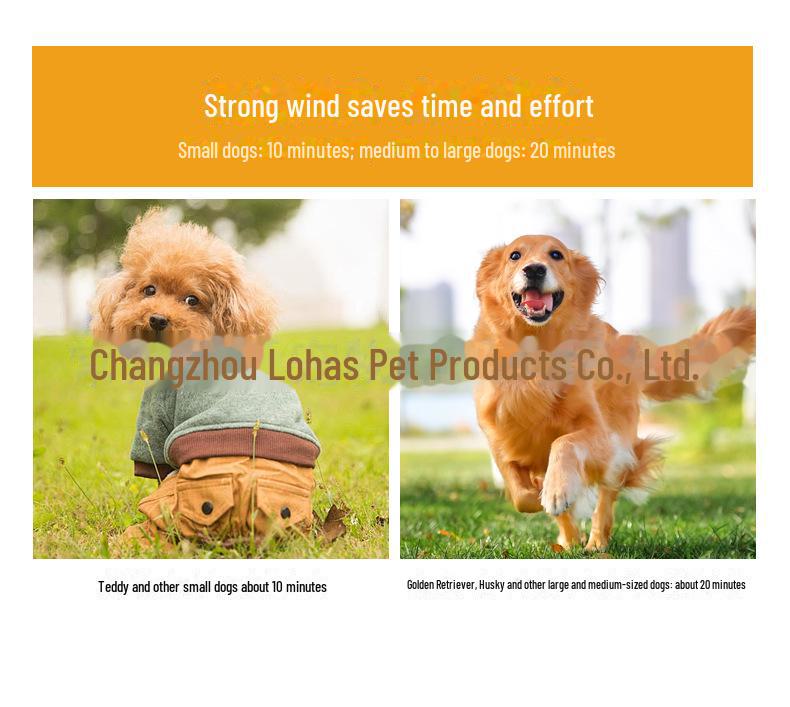 Chaolun Pet Hair Dryer - Commercial Negative Ion Dog Water Blower