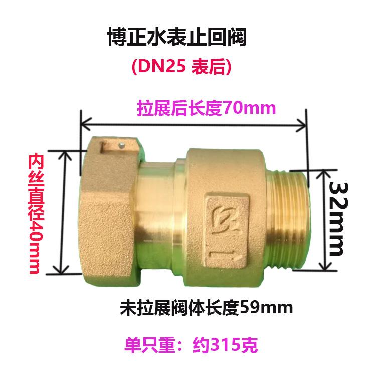 DN15 DN20 DN25 1/2" 3/4" 1" BSP Femmina Maschio Ottone Valvola di Ritegno Unidirezionale Non Ritorno Per Installazione Prima O Dopo il Contatore dell'Acqua