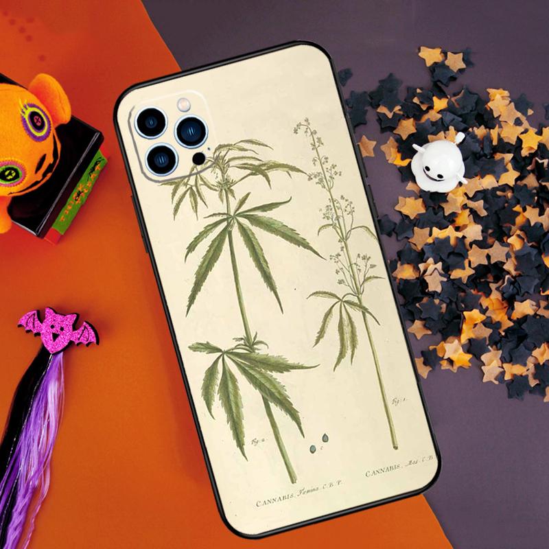 Botanical Drawings Flowers Plants Bumper Case For iPhone 16 14 15 Pro Max 11 12 13 Pro Max Mini XR 16e 16 15 Plus Phone Cover