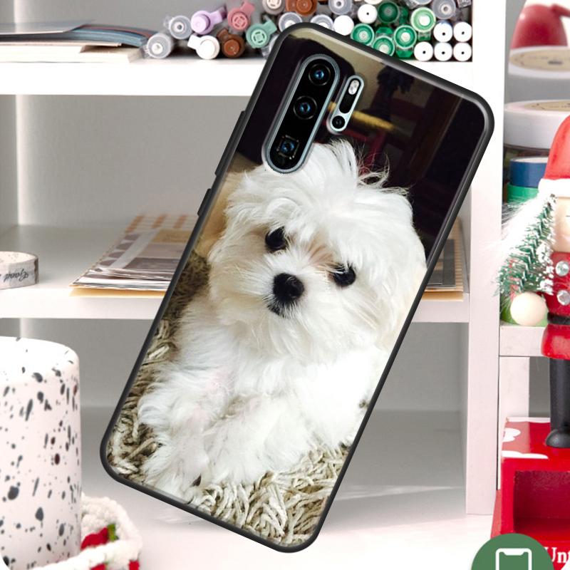 Maltese Dog Puppy For Huawei P30 Pro P20 P40 Lite P Smart 2019 Nova 9 5T Case For Honor 50 Cover 8X 9X 10i Huawei P20 Lite