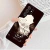 Iraq Flag Phone Case For Samsung Galaxy S25 S23 S30 S8 S21 S20 FE S24 S22 Note 10 20 S8 Plus lite Ultra