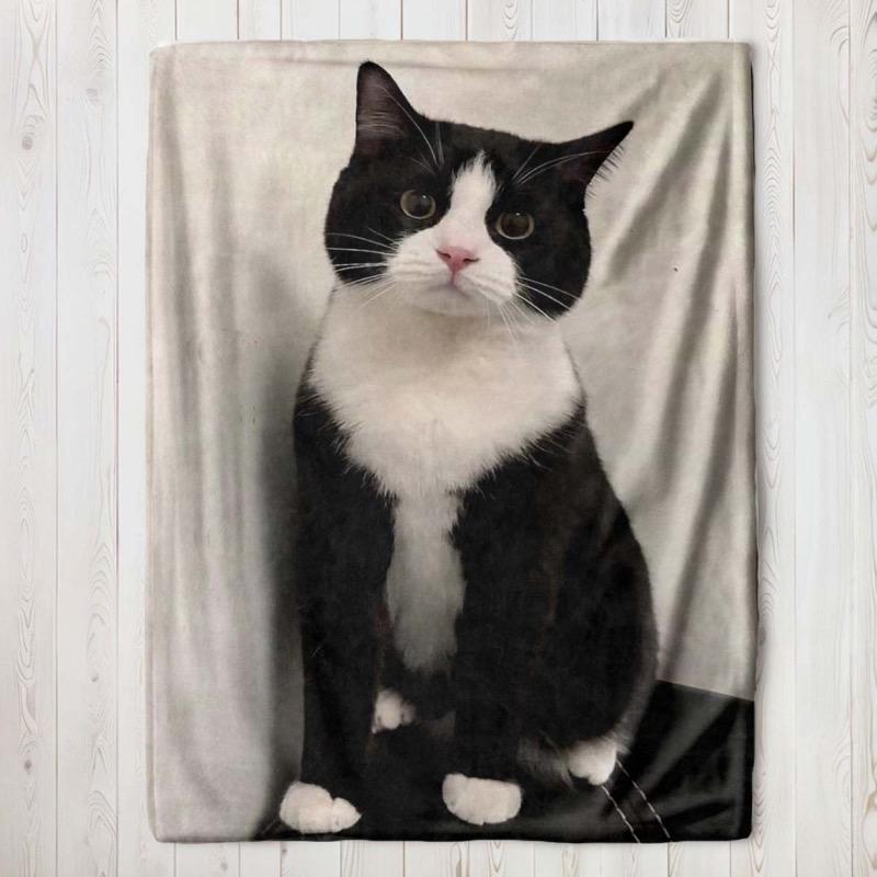 Four season universal soft flannel blanket - black and white cat pattern comfortable cover blanket sofa camping trip