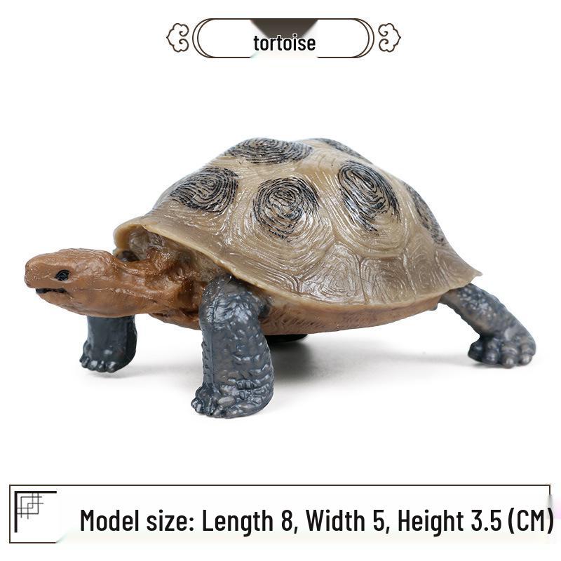 Cross-Border Children's Cognitive Amphibian & Reptile Tortoise Model Fish Tank Ornament Toy